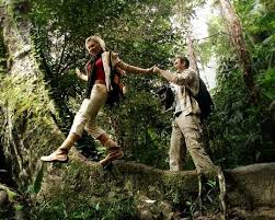 Image result for national park pahang