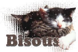 Image result for gros bisous