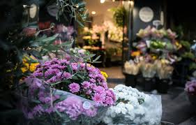 Fleuriste Cambriolée: Un Millionnaire la Sauve! Découvrez l'Incroyable!