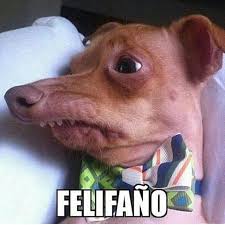 J Balvin - FELIFAÑO 😂😂😂😂 | Facebook