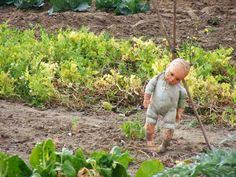 Resultado de imagem para bird scarer from china