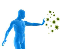 Image result for immune booster