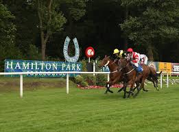 Sunday tips: Angus McNae's four best bets at Hamilton — Racing TV