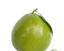 Hình ảnh về Quả bưởi (trái cây)