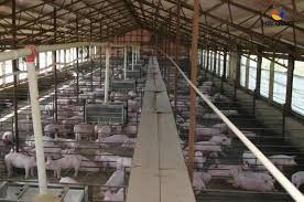 Résultat de recherche d'images pour "image de terrain en vente a abidjan-plateau"