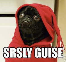 Image result for pug gif