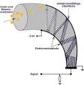 Probeneinlass, Ionisation, Massenanalyse, Detektion