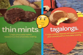 Image result for NATO Girl Scouting  