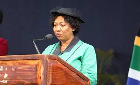 Angie Motshekga Juggles Defence Duties While Acting President of SA - Imagen principal del artículo