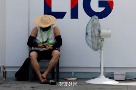 경향신문 - News update