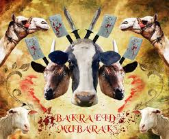 Image result for bakra eid 2015 pakistan