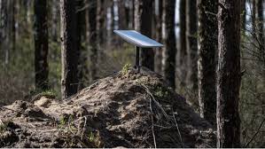 польша