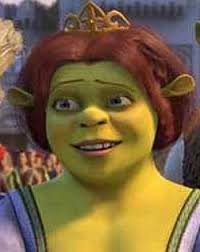 Image result for princess fiona