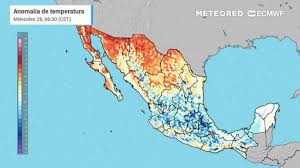 Pronóstico agrometeorológico semanal para México: ciclones del Pacífico ponen presión sobre el aguacate y la tuna