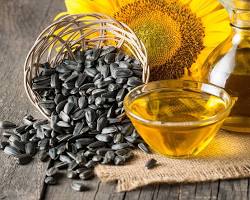 10 Superfoods Seed To Boost Your Energy