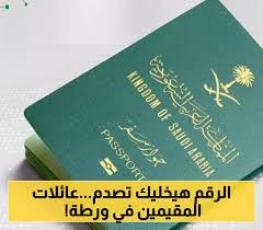 يمن برس - News update