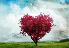 Image result for ‫عشق‬&lrm;