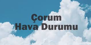 Diyarbakır Söz - News update