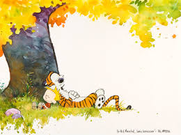 Image result for calvin and hobbes