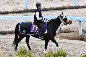 News source: 東スポ競馬