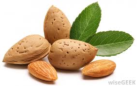 Image result for almonds