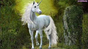 Znalezione obrazy dla zapytania elfy biały