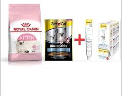 Royal Canin Kedi Ödülü resmi