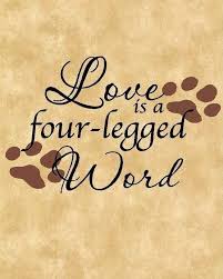 Pets N More: Inspiring Quotes For People Who Love Animals via Relatably.com
