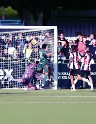 Sholing draw National League South side in FA Cup; Eastleigh to host League Two club - Daily Echo