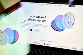 Circle Goes Public: What's Next for CRCL?