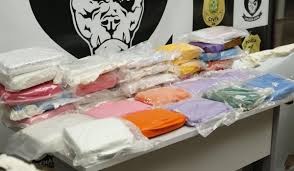 Polícia encontra 50 kg de drogas em freezer de empresa em Manaus; VÍDEO