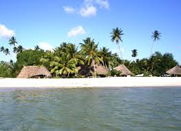 Image result for images of zanzibar beaches
