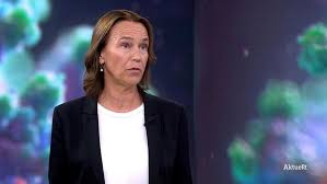 SVT Nyheter - News update