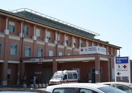 Trend Google: lucca