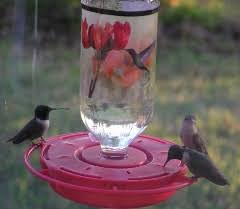 Image result for hummingbird feeder