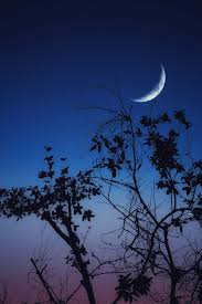Trend Google: luna nuova ottobre 2026