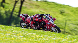 Trend Google: sbk