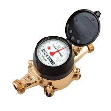 Neptune T-10 Potable Water Meter (5/8, 3/4 and 1 Inch)