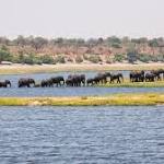 Save Lake Chad' meeting opens