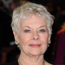 Veteran actress Dench, who played spy chief M in seven James Bond films, has reteamed with Whishaw, who made his debut as gadget master Q in last year&#39;s ... - 387161_1