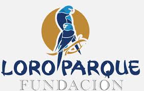 Resultado de imagen de imagenes de loro parque