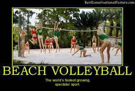 Inspirational Quotes About Volleyball. QuotesGram via Relatably.com