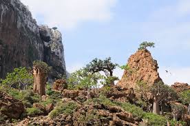 Image result for pictures gallery for unesco heritage sites of the world