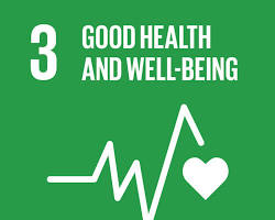 Εικόνα Good Health and Wellbeing SDG icon