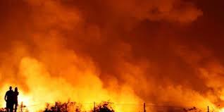 Incendies de forêt : le ministère de l’Agriculture appelle à une vigilance renforcée