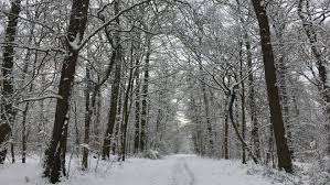 News source: La Chaîne Météo