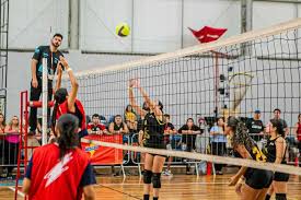 Web Vôlei - News update