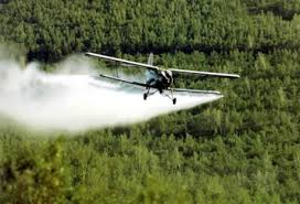 Resultado de imagen para pesticidas