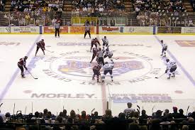 Image result for Ice Hockey