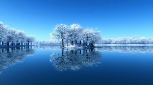 Image result for beautiful images
